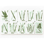 Stationery‑themed American mahjong Tiles